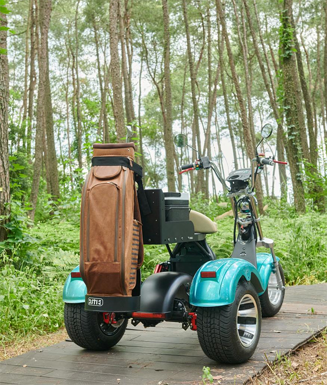 A revolutionary change from retro tricycle to Golf Trike