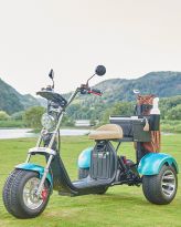 Fougle Golf Trike