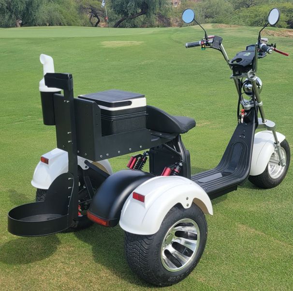 15 Golf Scooters, More Than 1 Year, €0 Revenue, Why 15 Golf Scooters, More Than 1 Year, €0 Revenue, Why